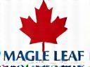 Maple Leaf Talent Solutions Logo