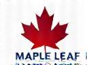Maple Leaf Talent Solutions logo
